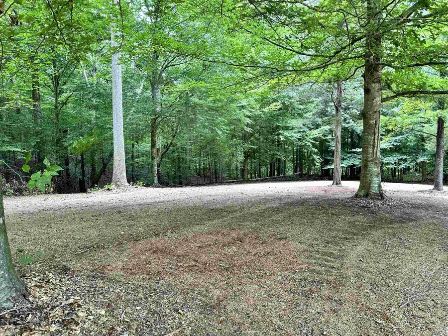 220 Willow Street, Pacolet, SC 29372 - Image #3