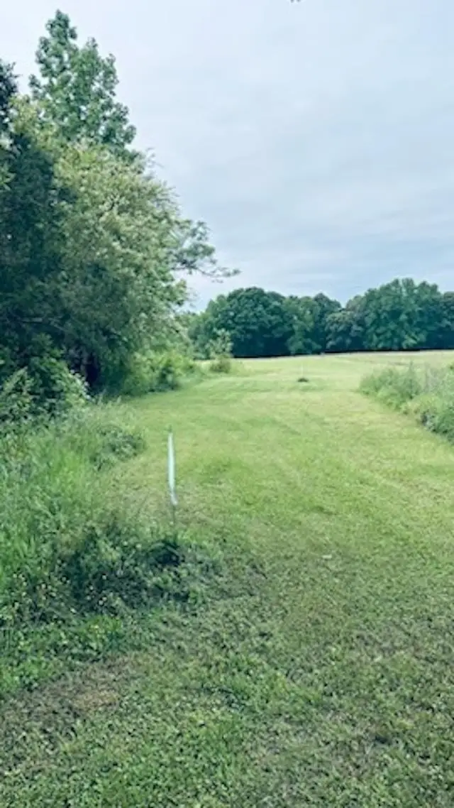 00 Watson Road, Enoree, SC 29335 - #3