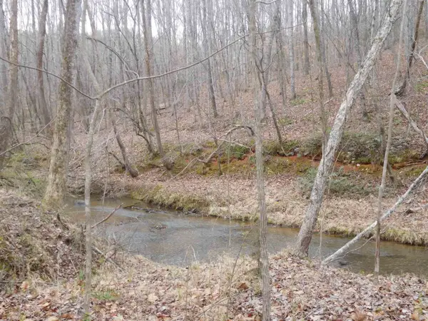 TBD White Plains Road Road, Gaffney, SC 29340