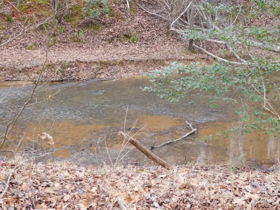 TBD White Plains Road Road, Gaffney, SC 29340 - #3