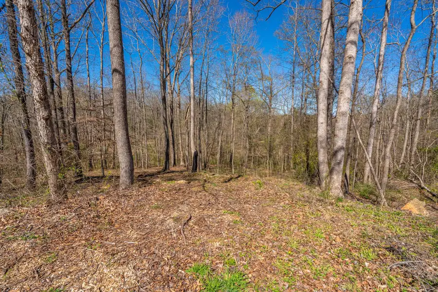 5 Bagwell Place, Spartanburg, SC 29302 - #3