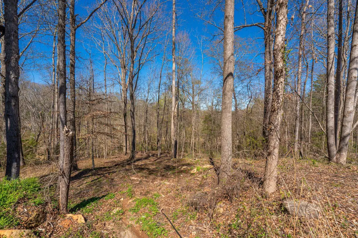 6 Bagwell Place, Spartanburg, SC 29302 - #1