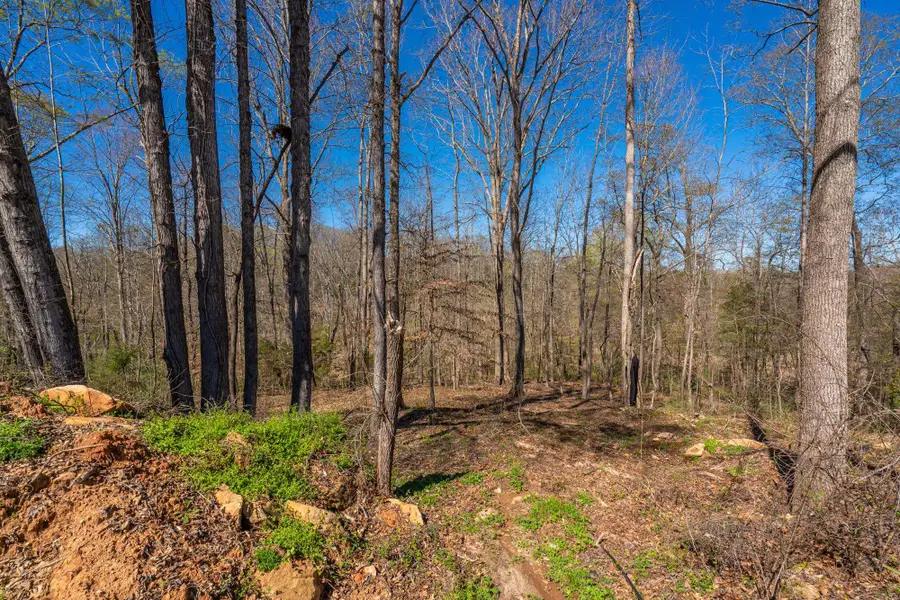 6 Bagwell Place, Spartanburg, SC 29302 - #2