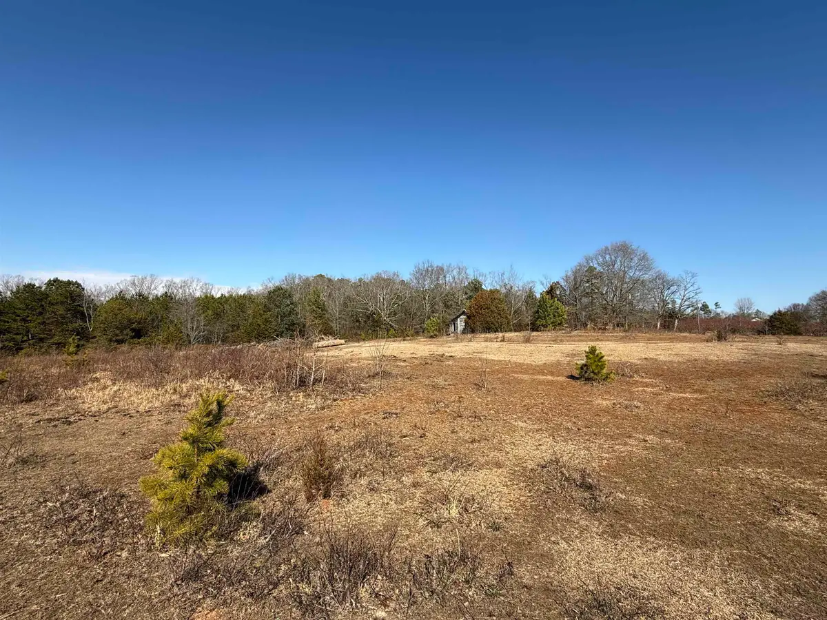 895 Mahaffey Cooley Road, Chesnee, SC 29323 - #1