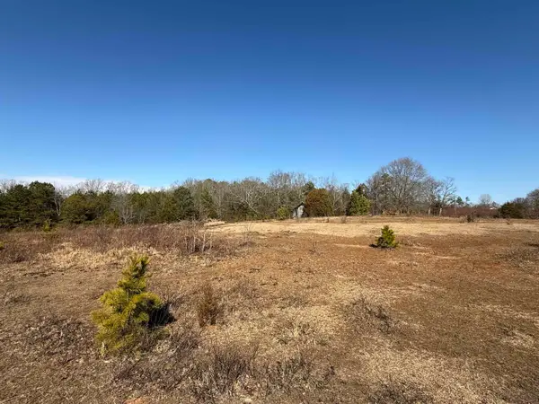 895 Mahaffey Cooley Road, Chesnee, SC 29323