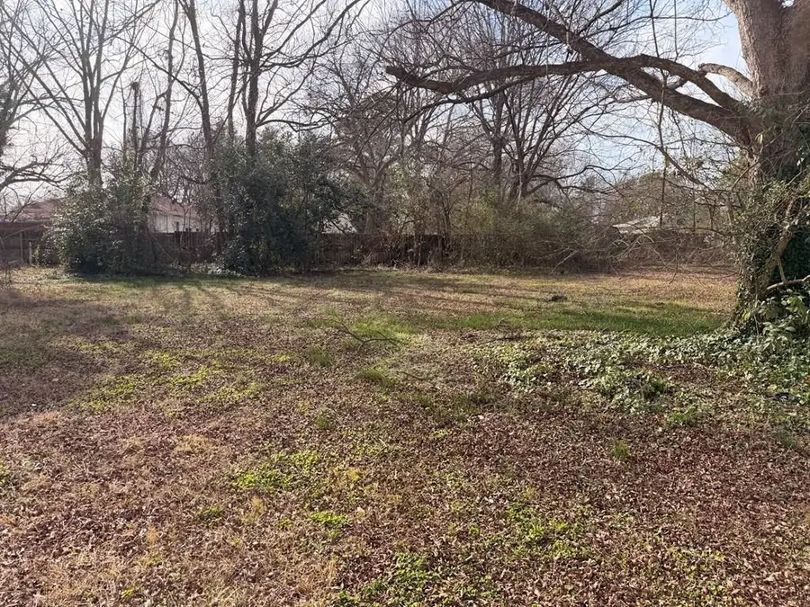 120 Ashley Avenue, Homeland Park, SC 29824 - #2