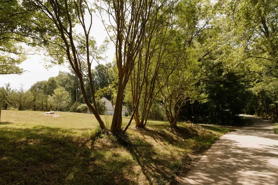 296 Nodine Road, Campobello, SC 29322 - #2