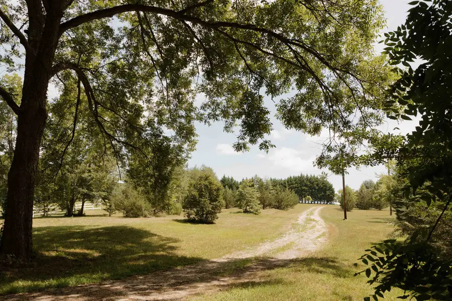 296 Nodine Road, Campobello, SC 29322 - #3