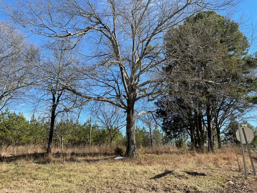 Island Creek Piedmont Road, Chesnee, SC 29323 - #2