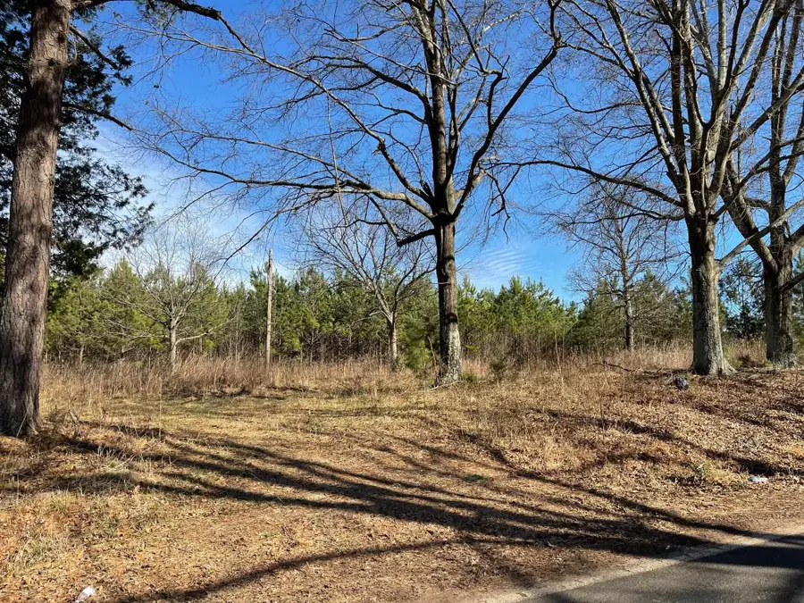 Island Creek Piedmont Road, Chesnee, SC 29323 - #3