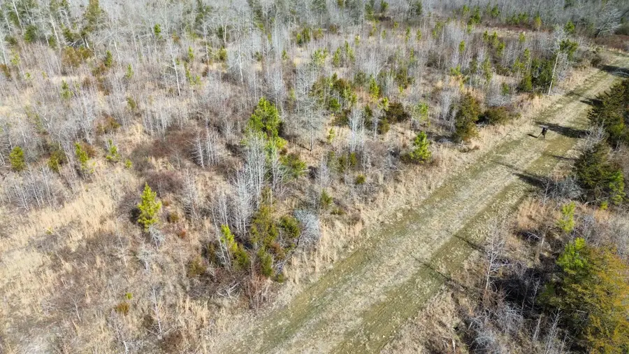 00 Lower Fairforest Church Road, Union, SC 29379 - #3