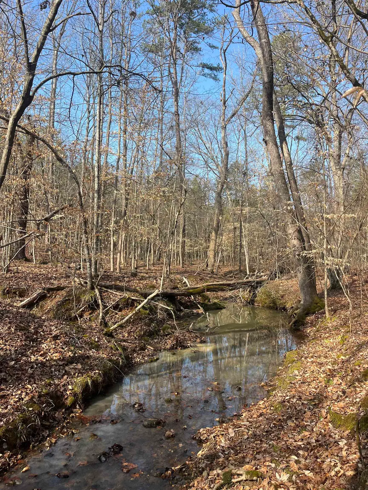 0 Darwin Road, Gaffney, SC 29340-0000 - #1