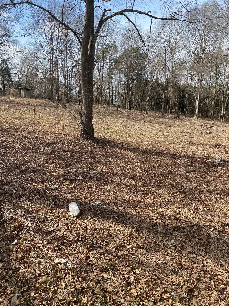 00 Lake Vista Drive, Lyman, SC 29365 - #2