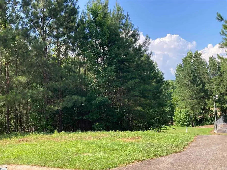 308 Wedge Way, Travelers Rest, SC 29690 - #2