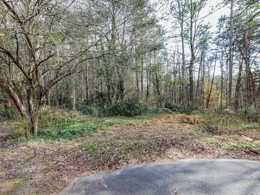 439 Killion Dr, Gaffney, SC 29340-9999 - #2