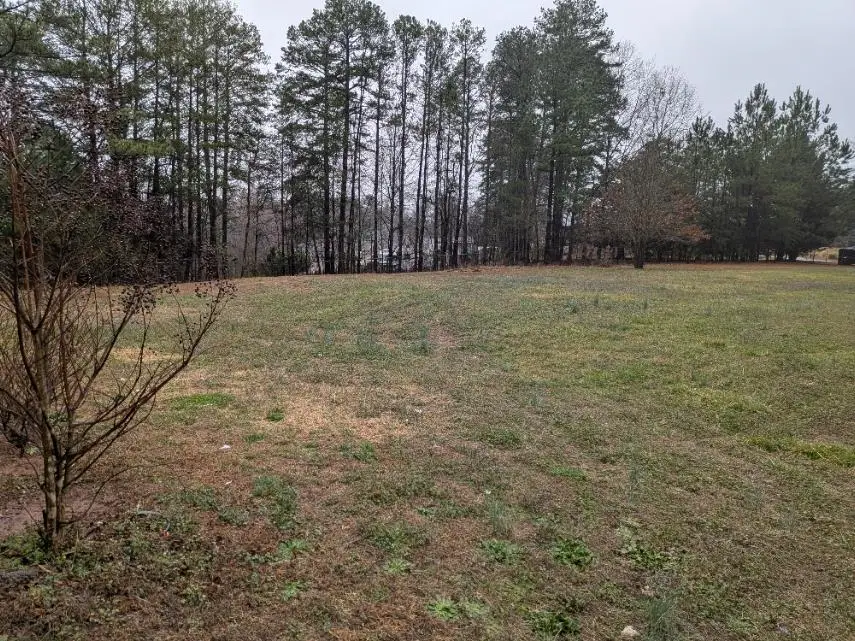 312 Carissa Court, Chesnee, SC 29323 - #3