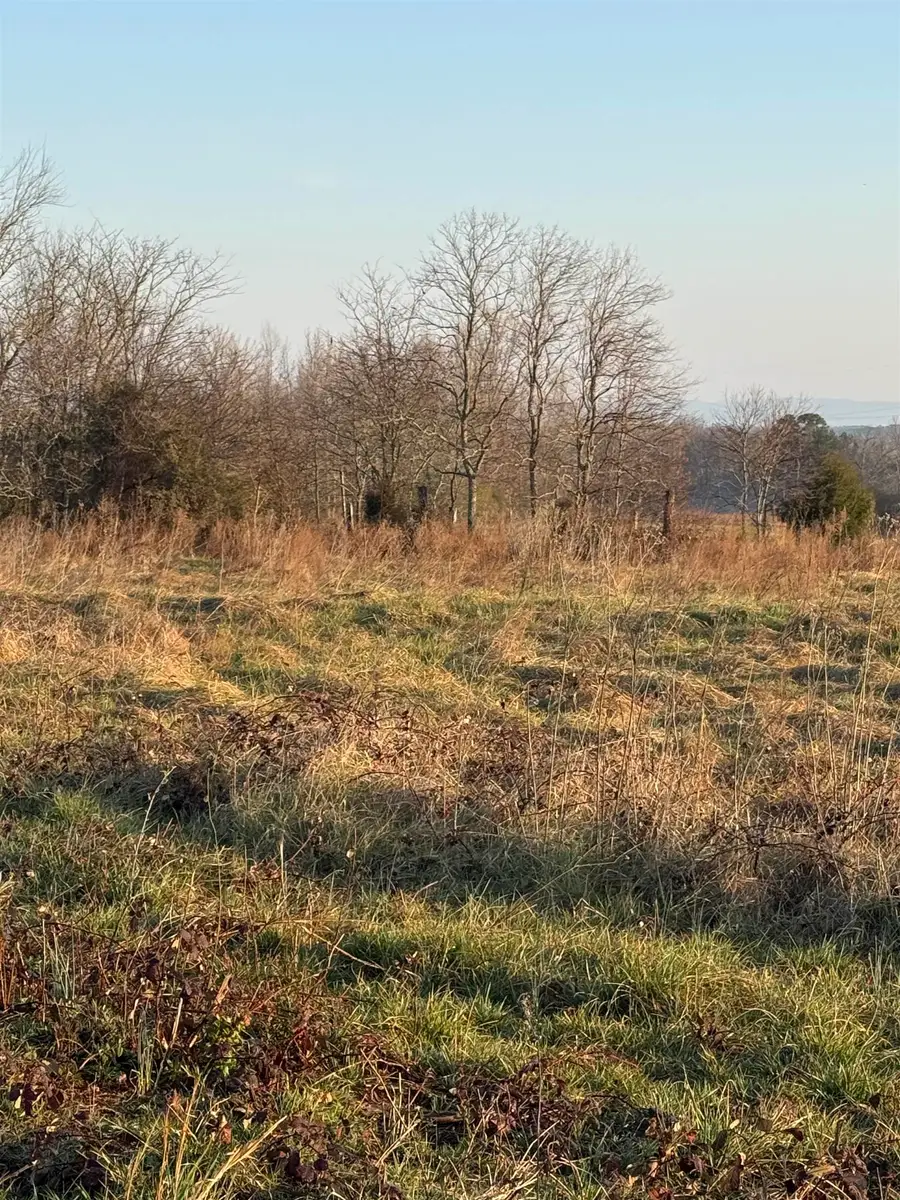 Carolina Ridge Road Lot 10, Gaffney, SC 29341 - #2