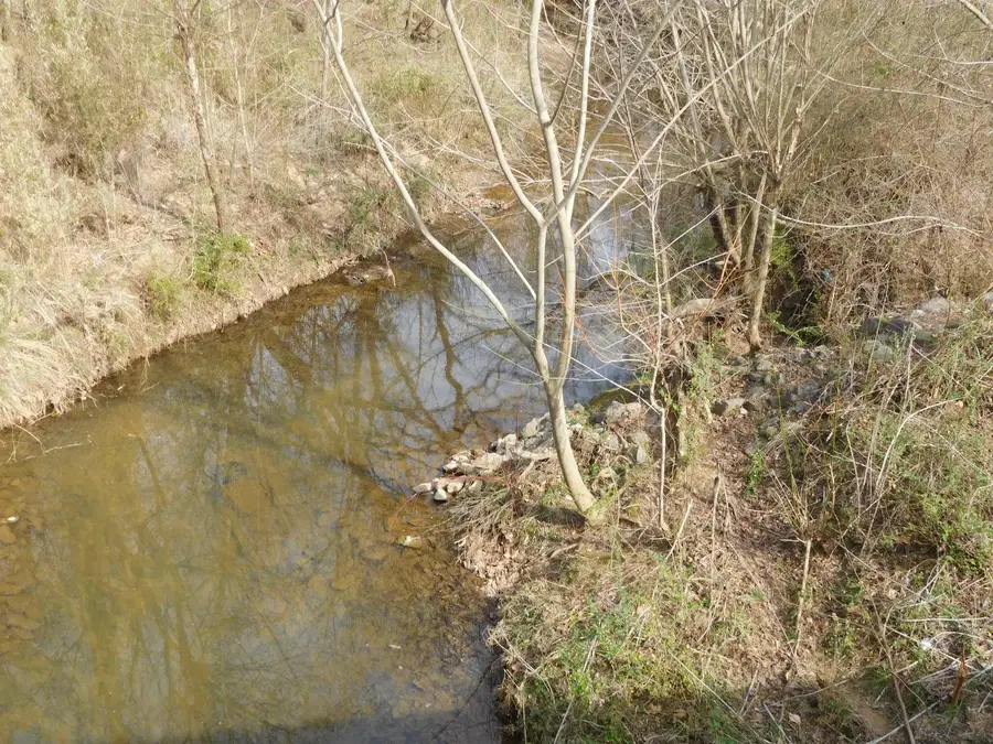 TBD S Charleston Street Street, Blacksburg, SC 29702 - #3