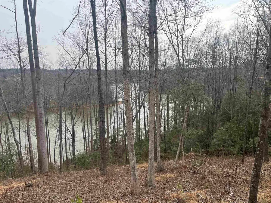 Lot 2 Buck Creek Rd, Chesnee, SC 29323 - #3