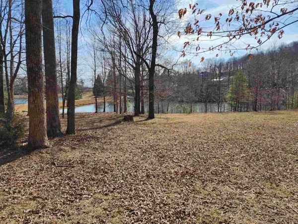 Lot 77 Serpentine Drive, Columbus, NC 28722