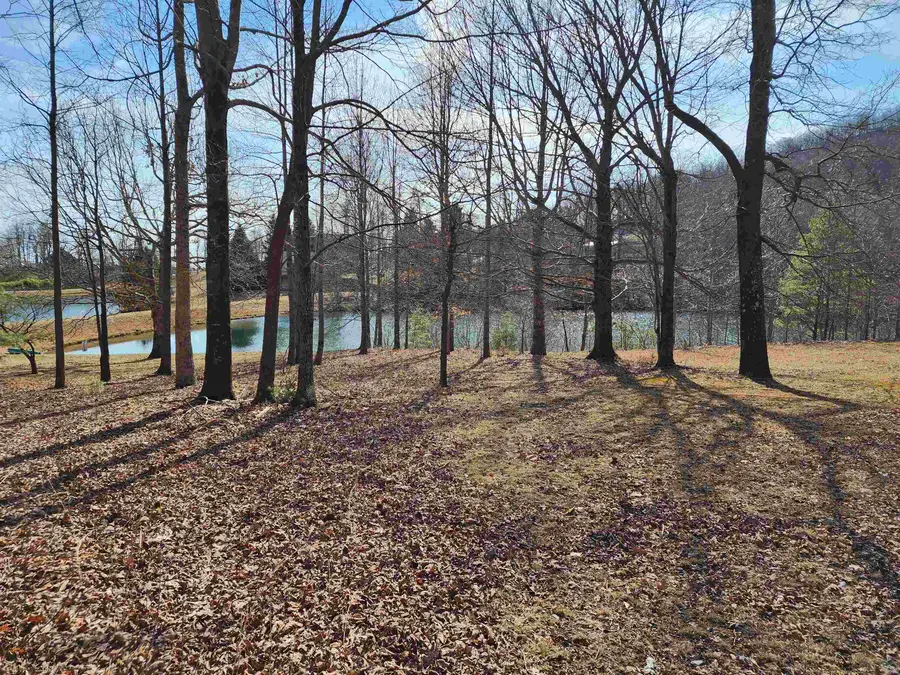 Lot 77 Serpentine Drive, Columbus, NC 28722 - #2