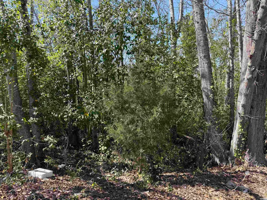 9 Allen Street, Enoree, SC 29335 - #3