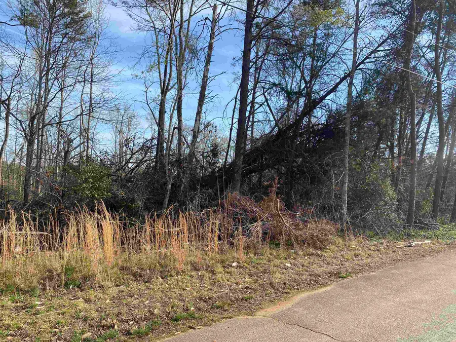 Nash Road, Moore, SC 29369 - #2