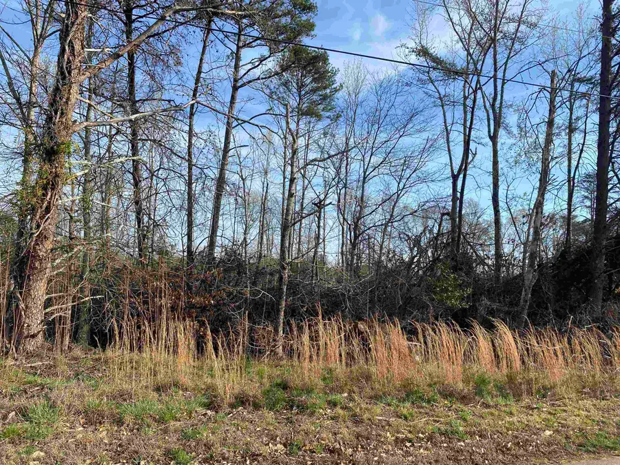 Nash Road, Moore, SC 29369 - #3