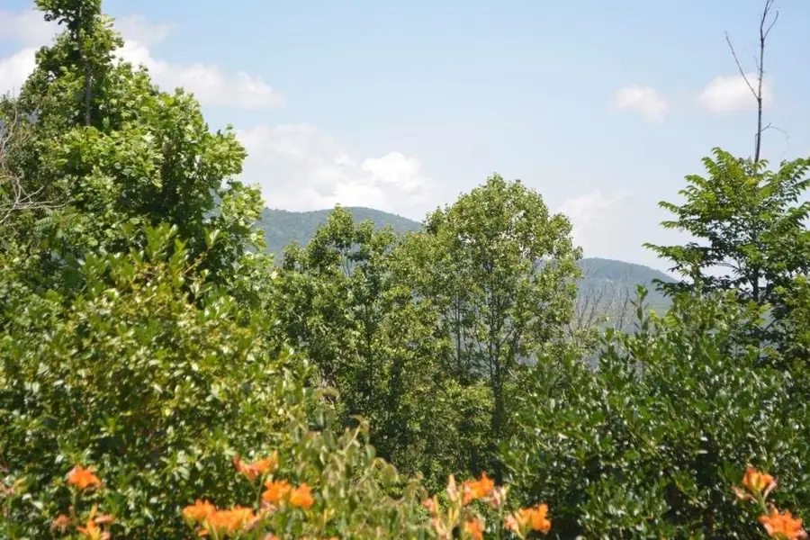 16 Windswept Lane, Travelers Rest, SC 29690 - #3