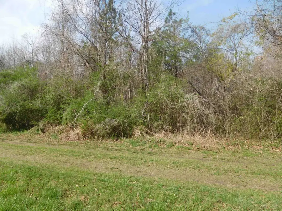 TBD Hamrick Street Street, Gaffney, SC 29340 - #2