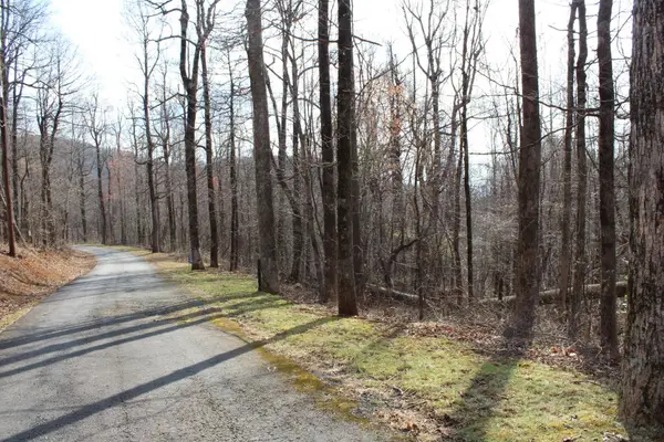 Lot 20 Sunset Ridge Drive, Columbus, NC 28722