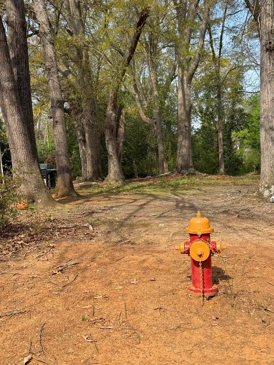 204 S Cleveland Park Drive, Spartanburg, SC 29303 - #3