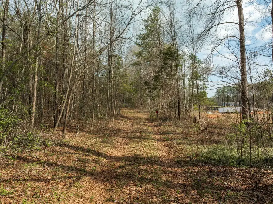 000 Melvin Hill Road, Campobello, NC 28782 - #3