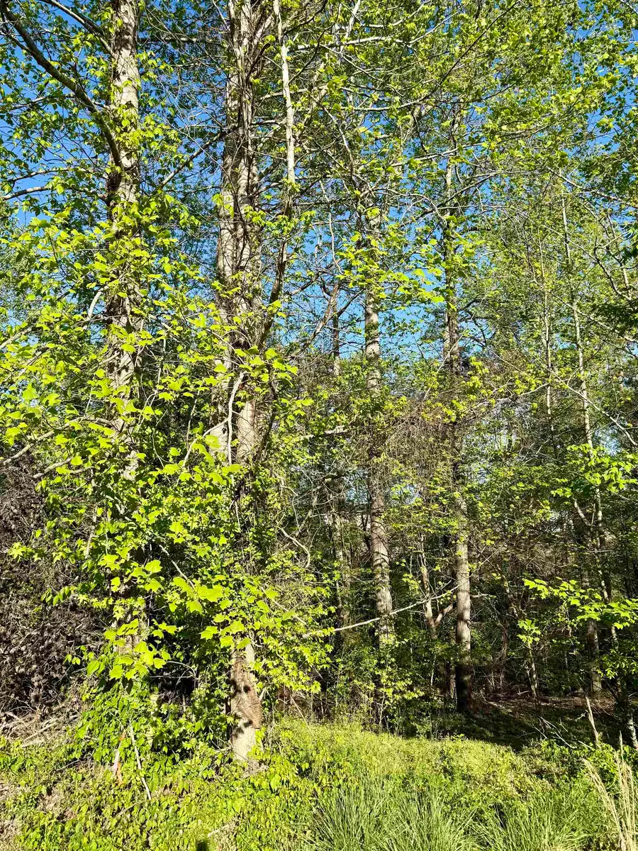 531 Scenic Oak Drive, Moore, SC 29369 - #2