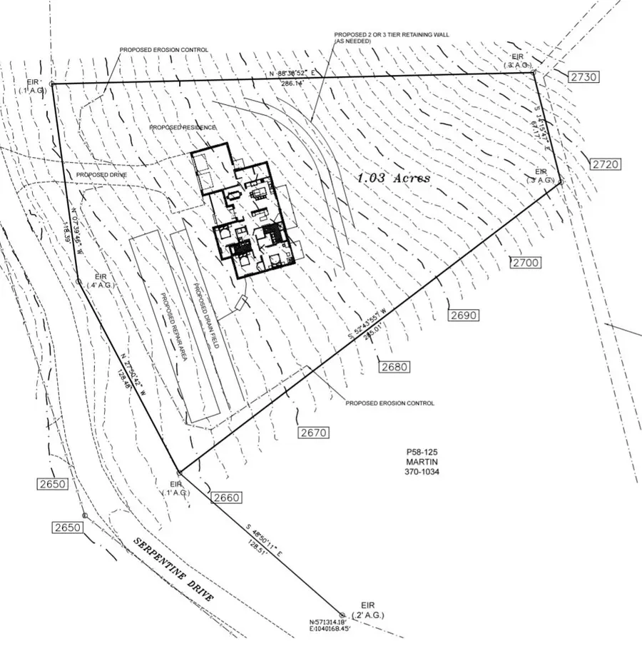 208 Serpentine Drive, Columbus, NC 28722 - #3
