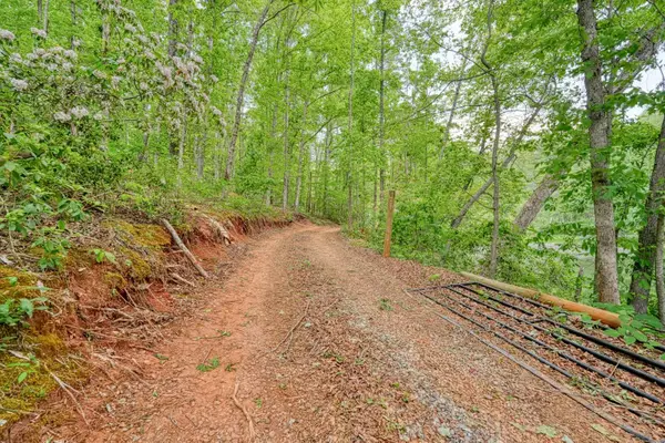 0 Motlow Creek Road, Campobello, SC 29322