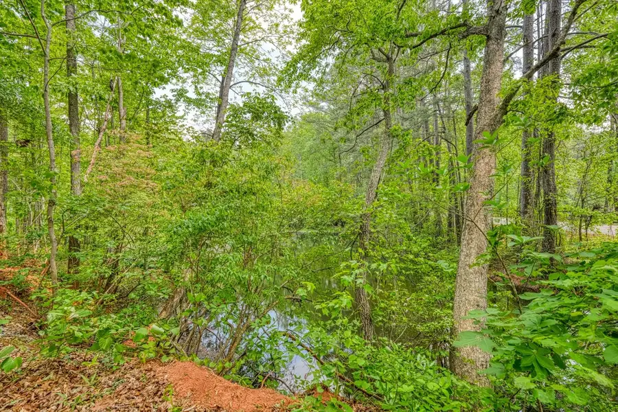 0 Motlow Creek Road, Campobello, SC 29322 - #2