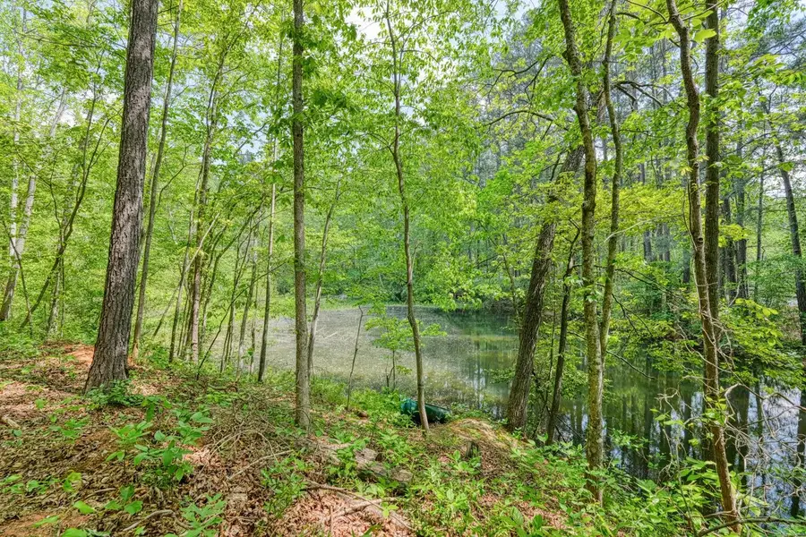 0 Motlow Creek Road, Campobello, SC 29322 - #3