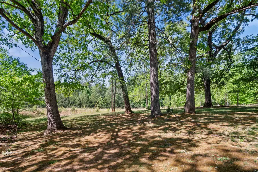 283 Constant Lane, Columbus, NC 28722 - #3