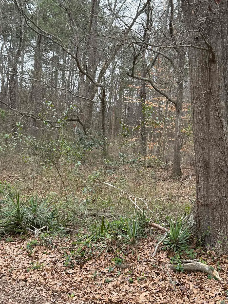 0 Norwood St, Pacolet, SC 29372 - #3