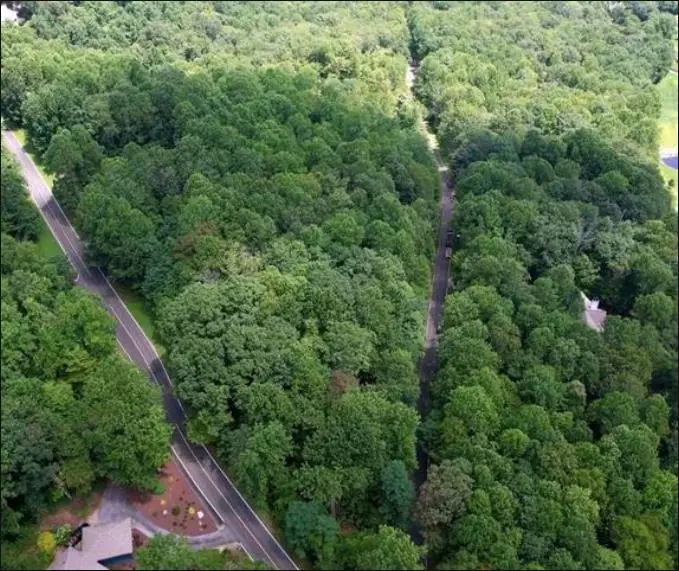 Lot 40 Snap Dragon Way, Landrum, SC 29356 - #2
