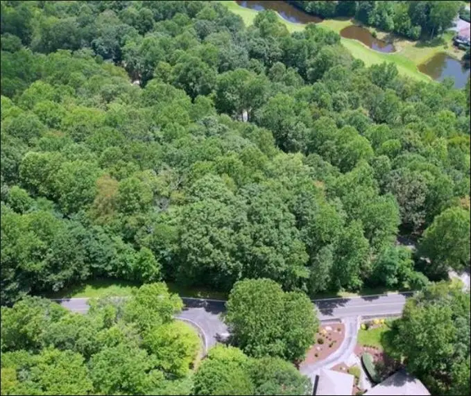 Lot 40 Snap Dragon Way, Landrum, SC 29356 - #3