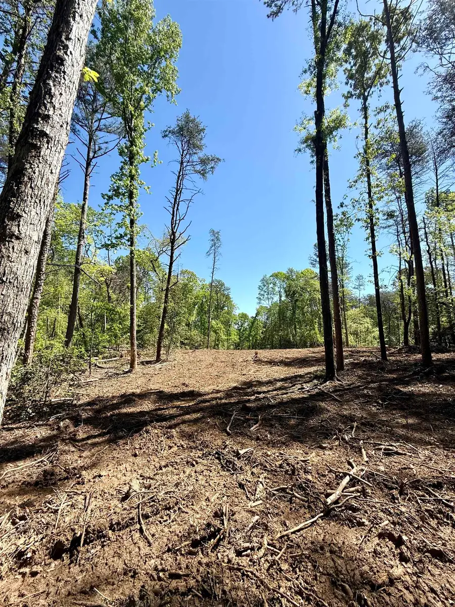 0 Thompson Road, Greer, SC 29651 - #3