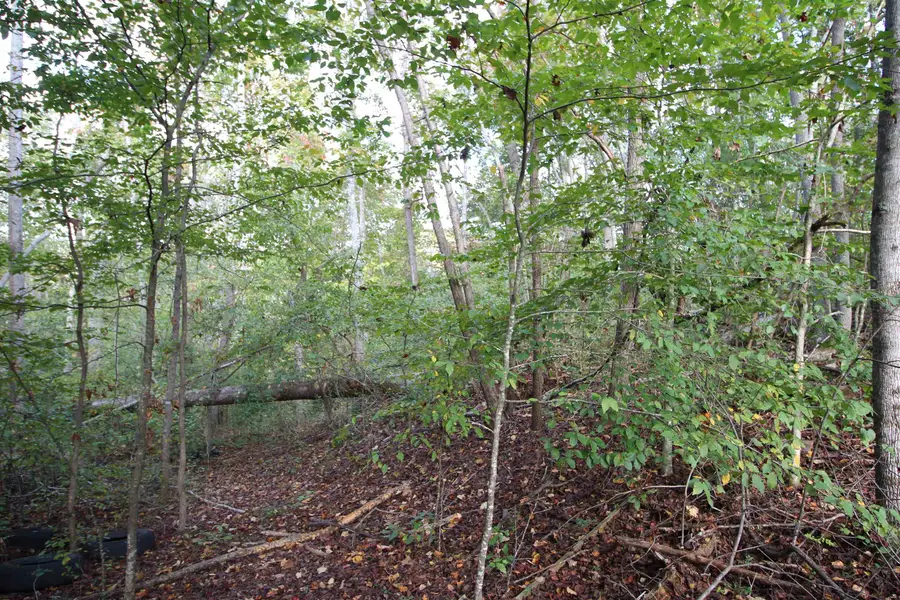 1559 Country Estates Road, Inman, SC 29349 - #3