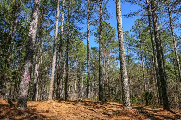 0 Asbury Road Road, Pacolet, SC 29372