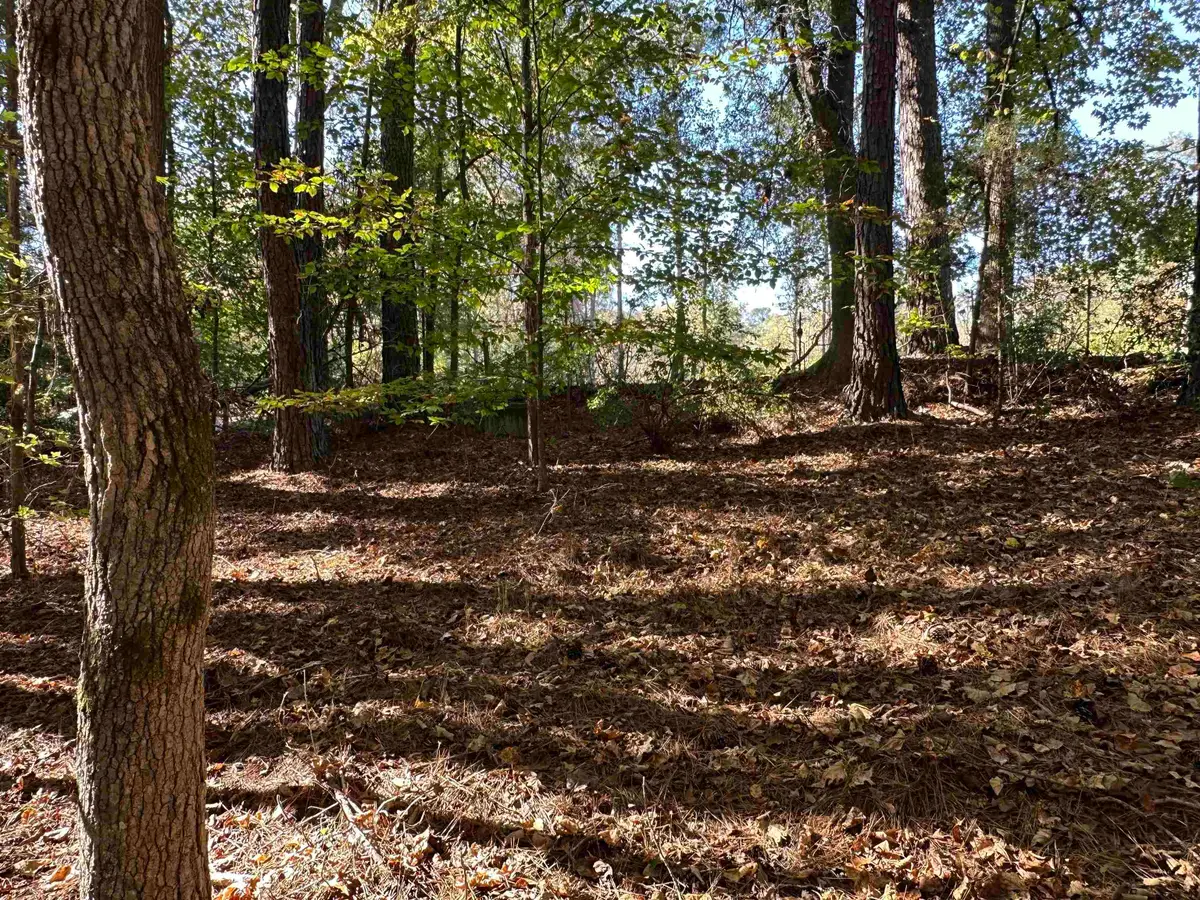 0 Hammett Grove Road, Spartanburg, SC 29307 - #1