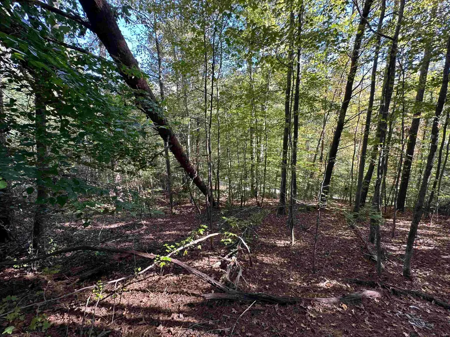 0 Hammett Grove Road, Spartanburg, SC 29307 - #2