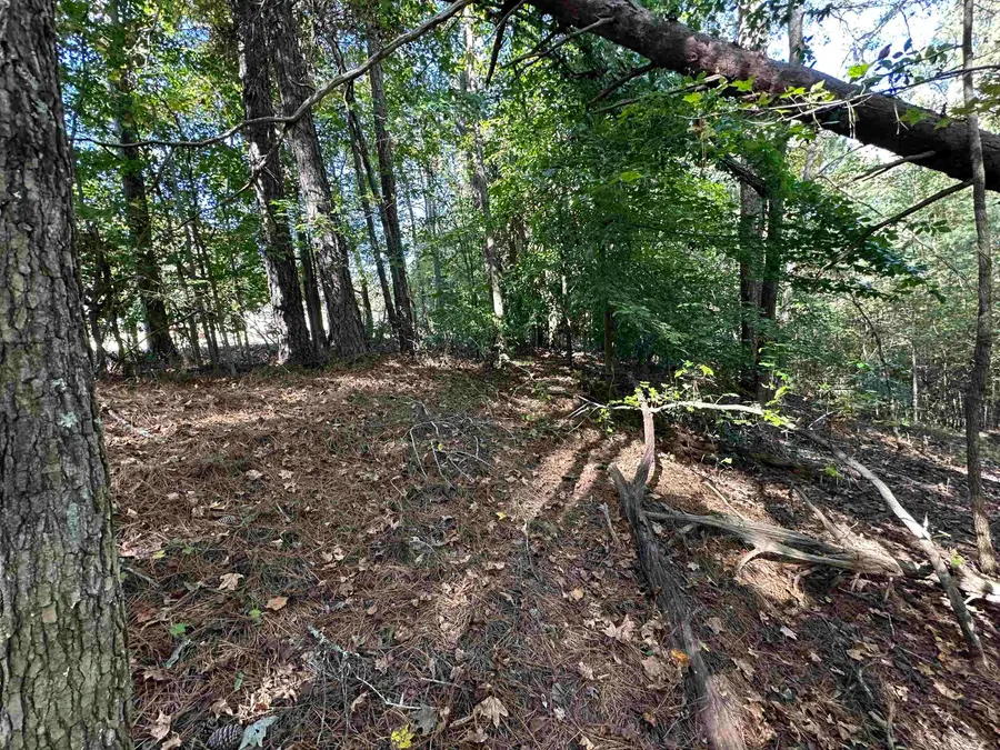 0 Hammett Grove Road, Spartanburg, SC 29307 - #3