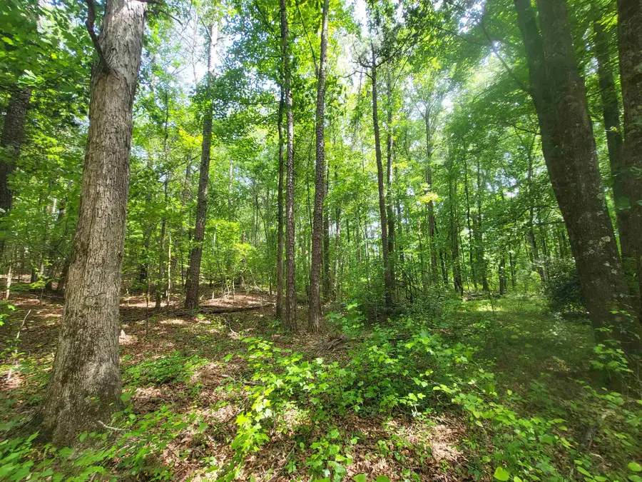 162 Courtney Road, Cowpens, SC 29330 - #2