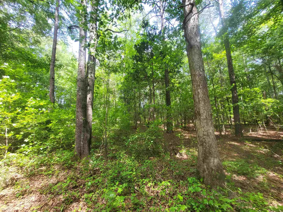 162 Courtney Road, Cowpens, SC 29330 - #3